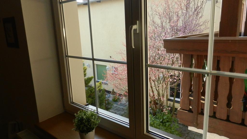 Apartment Pension Stark Františkovy Lázně Εξωτερικό φωτογραφία