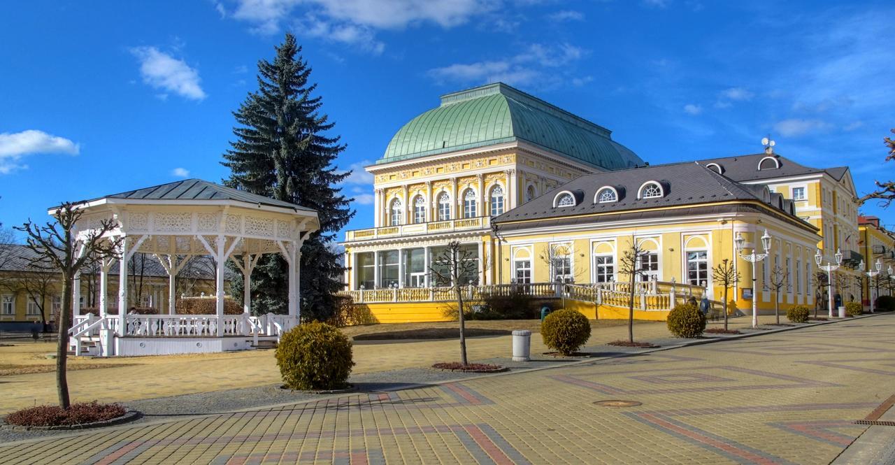Apartment Pension Stark Františkovy Lázně Εξωτερικό φωτογραφία