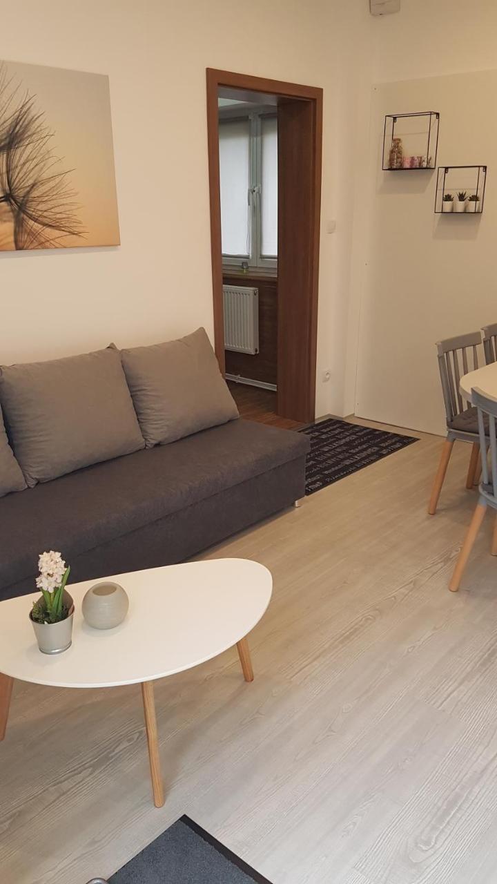 Apartment Pension Stark Františkovy Lázně Εξωτερικό φωτογραφία