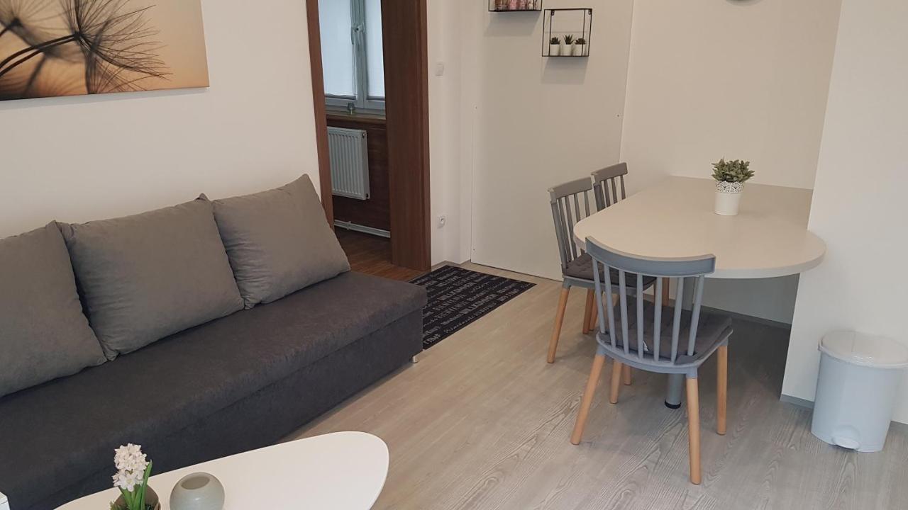 Apartment Pension Stark Františkovy Lázně Εξωτερικό φωτογραφία